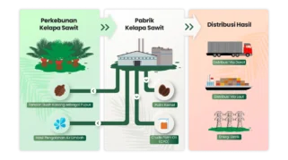 Digitalisasi Sawit: Transformasi dari Kebun ke Pabrik Lewat AI dan Blockchain