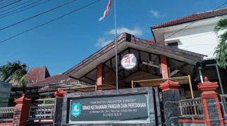 DKPP Sumenep Salurkan Bibit Unggul dan Pupuk Khusus untuk Petani Tembakau