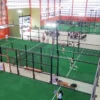 Dorong Gaya Hidup Aktif, SWASH Padel Club Resmi Hadir di BSD untuk Warga Urban