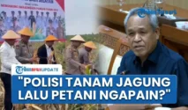 DPR Kritik Kebijakan Polisi Ikut Tanam Jagung: Tugas Pokok Ditinggalkan, Kerjaan Petani Diambil