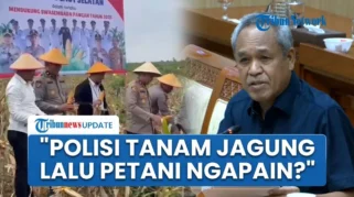 DPR Kritik Kebijakan Polisi Ikut Tanam Jagung: Tugas Pokok Ditinggalkan, Kerjaan Petani Diambil