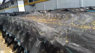 DPR Setujui Rencana BGN Hibahkan Motor Listrik Mangkrak ke Guru Honorer