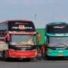 Dua Bus Ugal-ugalan Saling Serempet di Nganjuk, Polisi Periksa Sopir