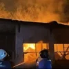 Dua Kebakaran Hebat di Bondowoso Hanguskan Gudang Tembakau dan Tiga Rumah Warga