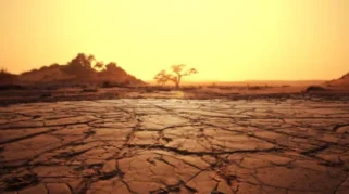 El Nino Ancam Asia Tenggara: Krisis Pangan dan Inflasi Diperkirakan Meningkat