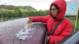 Embun Beku Kembali Selimuti Kawasan Ijen, Suhu Capai 0,60 Derajat Celcius