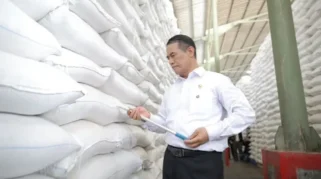 FAO Proyeksi Produksi Beras Indonesia Naik di 2026, Mentan Amran: RI Bersiap Jadi Lumbung Pangan Dunia