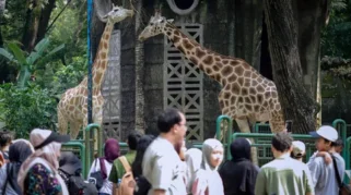 Foto Libur Tahun Baru Islam di Taman Margasatwa Ragunan: Wisata Edukasi Keluarga