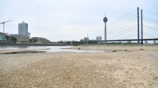 Gelombang Panas Ekstrem Landa Jerman dan Ceko, Suhu Tembus 41,5 Derajat Celsius Pecahkan Rekor