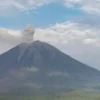 Gunung Semeru Kembali Erupsi, Warga Diminta Waspada