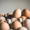 Harga Beli Telur Ayam Ras Ditetapkan Rp26.500 per Kg, Mentan: Wajib Dipatuhi