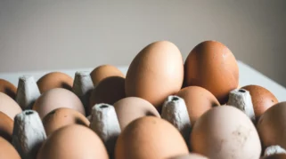 Harga Beli Telur Ayam Ras Ditetapkan Rp26.500 per Kg, Mentan: Wajib Dipatuhi