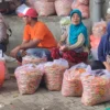 Harga Cabai di Kediri Stabil, Cabai Rawit Merah Turun Jadi Rp32.000