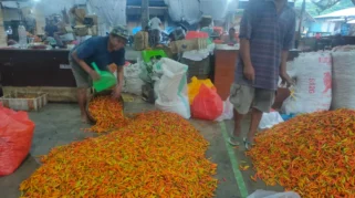 Harga Cabai Rawit di Kediri Turun Imbas Pasar Induk Sepi
