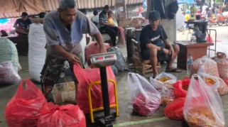 Harga Cabai Terendah di Kediri Rp15.000 per Kilogram, APCI Catat Penurunan