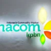Harga CPO KPBN Inacom Menguat di Tengah Perdagangan Bursa Malaysia yang Positif