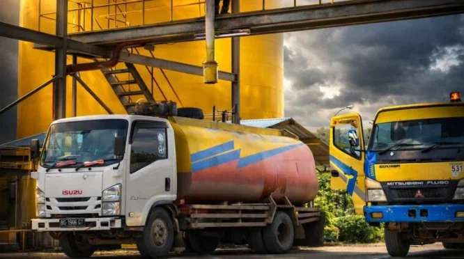 Harga CPO Pekan Depan Diproyeksi Bergerak di Kisaran RM4.200-RM4.550 per Ton