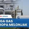 Harga Gas Industri Melonjak, Andi Gani Nena Wea Sebut 55.000 Pekerja Terancam PHK