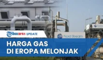 Harga Gas Industri Melonjak, Andi Gani Nena Wea Sebut 55.000 Pekerja Terancam PHK