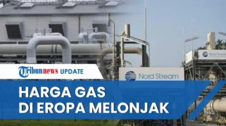 Harga Gas Industri Melonjak, Andi Gani Nena Wea Sebut 55.000 Pekerja Terancam PHK