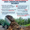 Harga TBS Anjlok Imbas Wacana Ekspor SDA, Petani Sawit Paser Menjerit