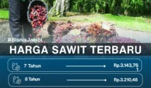 Harga TBS Sawit Jambi Naik Rp265,9 per Kg pada Periode 12-18 Juni 2026