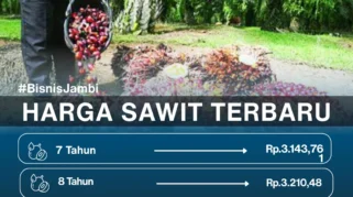 Harga TBS Sawit Jambi Naik Rp265,9 per Kg pada Periode 12-18 Juni 2026