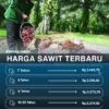 Harga TBS Sawit Jambi Periode 19-25 Juni 2026 Cenderung Stagnan dengan Penurunan Minor