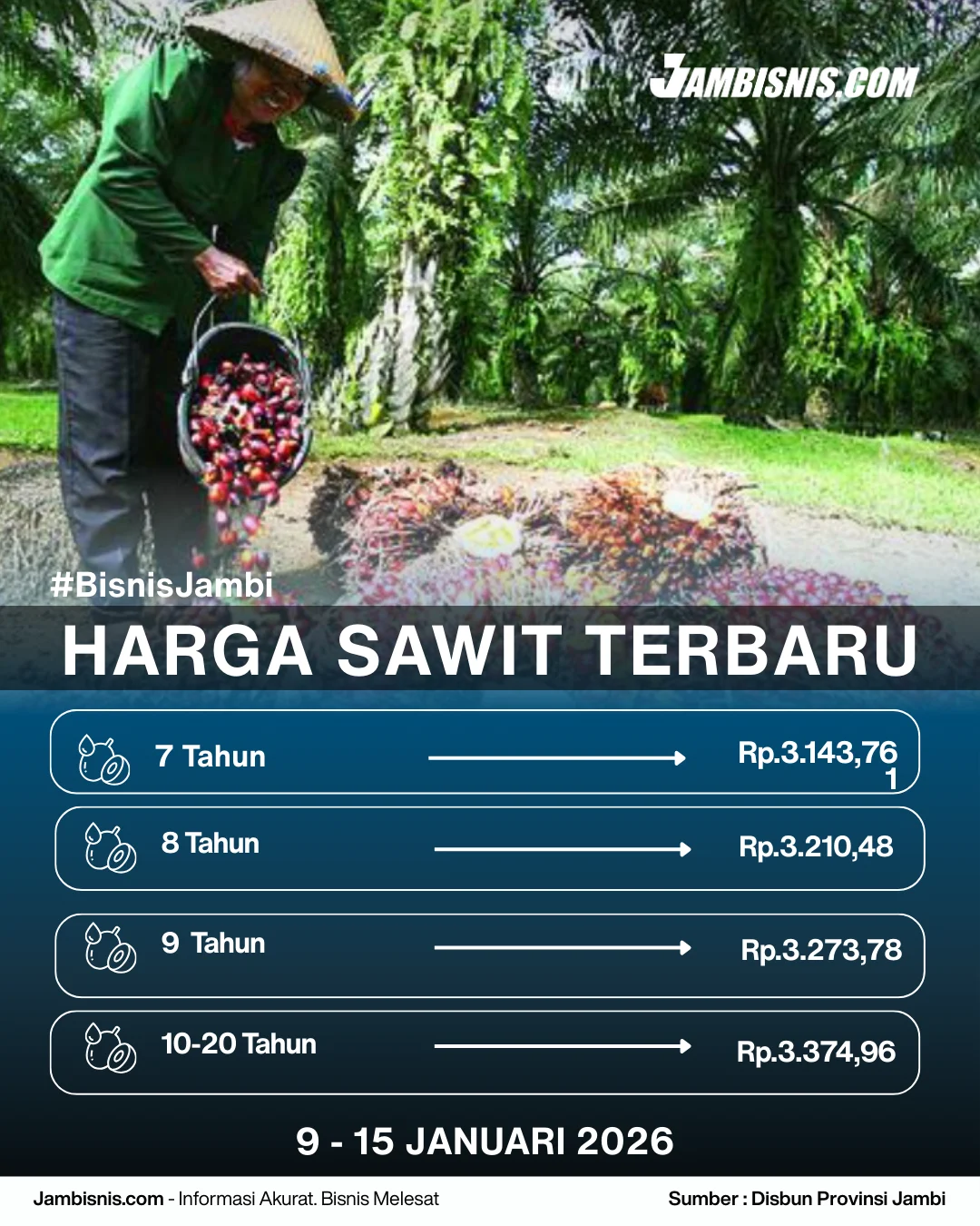 Harga TBS Sawit Plasma Riau 10-16 Juni 2026 Turun Rp64,09 per Kg, Ini Rincian per Umur