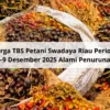 Harga TBS Sawit Swadaya Riau Periode 3-9 Juni 2026 Turun Rp437,44 per Kg