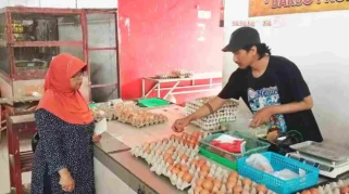 Harga Telur Anjlok, Pemkab Blitar Minta Pemerintah Pusat Turun Tangan: Ancaman Kebangkrutan Peternak Mikro