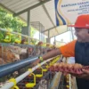 Harga Telur Ayam Anjlok di Situbondo Imbas MBG Tutup, Peternak Khawatir Rugi