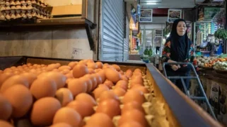 Harga Telur Mulai Stabil, Kementan Gandeng Program MBG Serap Produksi Peternak