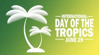 Hari Tropis Internasional 29 Juni: Momentum Global untuk Keberlanjutan Kawasan Khatulistiwa