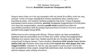 Integrasi Sawit-Sapi Berpotensi Hasilkan 1,3 Juta Ekor Sapi Nasional, Wamenko Pangan Dorong Percepatan