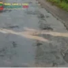 Jalan Rusak Parah di Daren Jepara Rugikan Pedagang, Debu dan Kecelakaan Jadi Keluhan