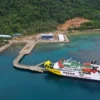 Jalur Laut Tak Terlihat: Konektivitas Ekologis dan Urgensi Perlindungan Berbasis Masyarakat