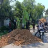 Jawaban Gubernur Jateng Ahmad Luthfi soal viral jalan Randublatung-Cepu: APBD Perubahan 2026 Prioritaskan Perbaikan Jalan