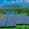 KAI Pasang 113 Unit PLTS di 92 Lokasi untuk Kurangi Emisi Karbon hingga 5.800 Ton per Tahun