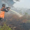 Karhutla di Nagan Raya Hanguskan 98 Hektare Lahan, Petugas Berhasil Padamkan 95 Hektare