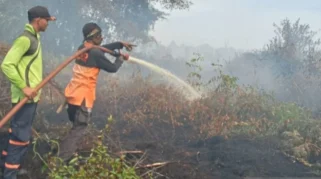 Karhutla di Nagan Raya Hanguskan 98 Hektare Lahan, Petugas Berhasil Padamkan 95 Hektare
