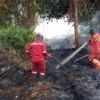 Karhutla di Riau Capai 15 Ribu Hektare, Terparah di Bengkalis
