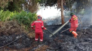 Karhutla di Riau Capai 15 Ribu Hektare, Terparah di Bengkalis