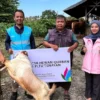 Kebahagiaan Iduladha: PLN Nusantara Power Salurkan 39.863 Paket Daging Kurban, Ribuan Masyarakat Merasa Terpaut