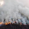 Kebakaran Lahan di Ogan Ilir, Sumsel, Asap Membubung Tinggi dan Petugas Kewalahan