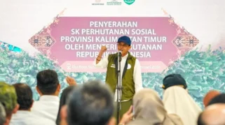 Kemenhut Catat 256 KUPS di Riau, Akses Kelola Perhutanan Sosial Capai 201.880 Hektare