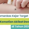 Kemenkes Targetkan Nol Kematian Akibat DBD pada 2030, Ini Strateginya