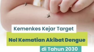 Kemenkes Targetkan Nol Kematian DBD pada 2030, Ini Strateginya