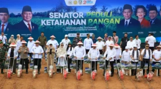 Ketahanan Pangan Jadi Prioritas Presiden: Wamentan Ungkap Strategi Pemerintah