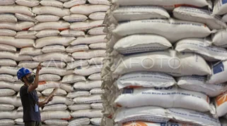 Ketersediaan Beras di Bulog Cukup Selama Enam Bulan ke Depan, Petani Nikmati Harga Gabah Tinggi